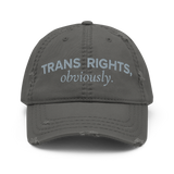 Trans Rights Hat